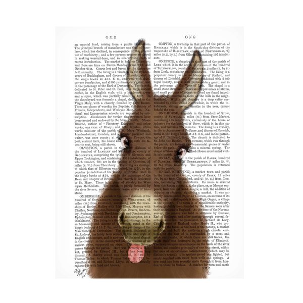 Trademark Fine Art Fab Funky 'Funny Farm Donkey 1 Book Print' Canvas Art, 18x24 WAG18757-C1824GG